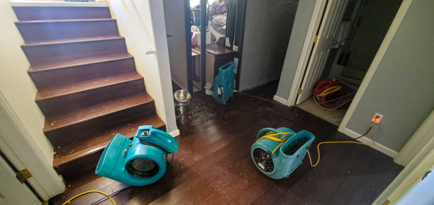 Best Water damage contractors near me  in Mccrory, AR