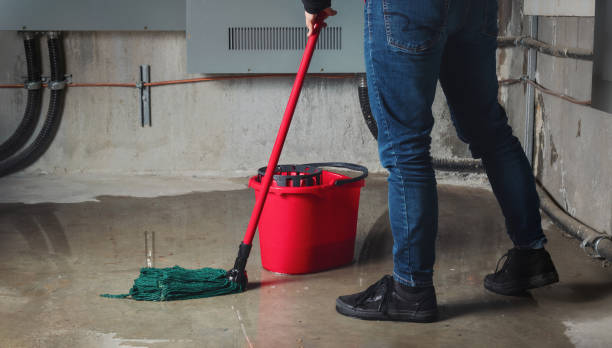 Best Mold removal after water damage  in Mccrory, AR