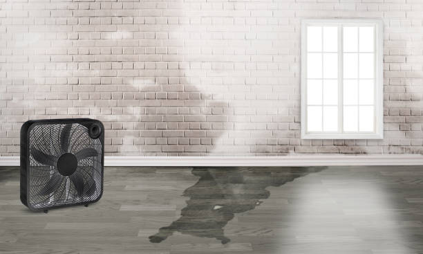 Best Fire Damage Restoration  in Mccrory, AR